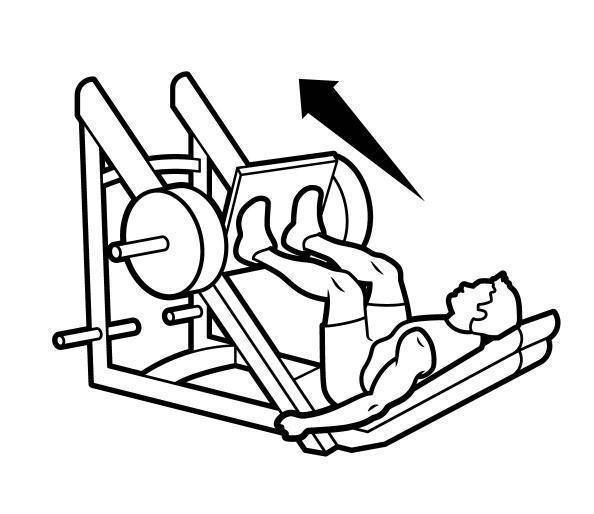 Жим ногами сидя в тренажере: техника выполнения горизонтального жима ногами