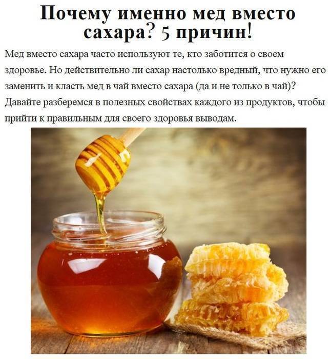 Что полезнее для организма варенье или мед? | польза и вред