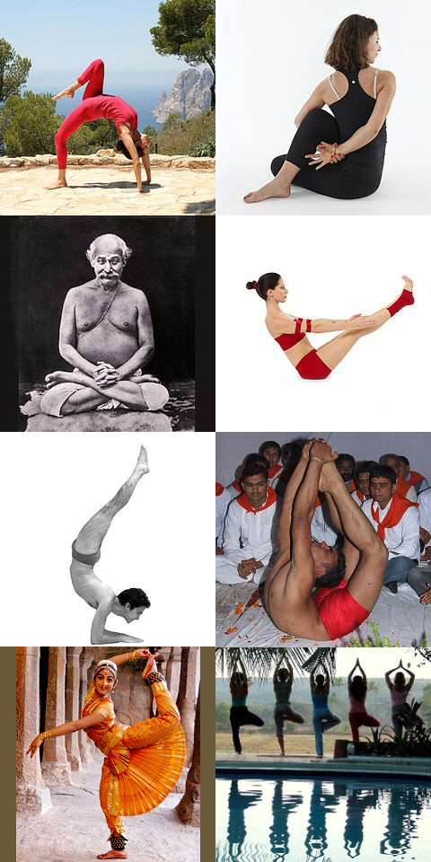 Ардха матсиендрасана — половинная поза в практике асан йоги,  посвященная матсиендре — основателю хатха видьи.