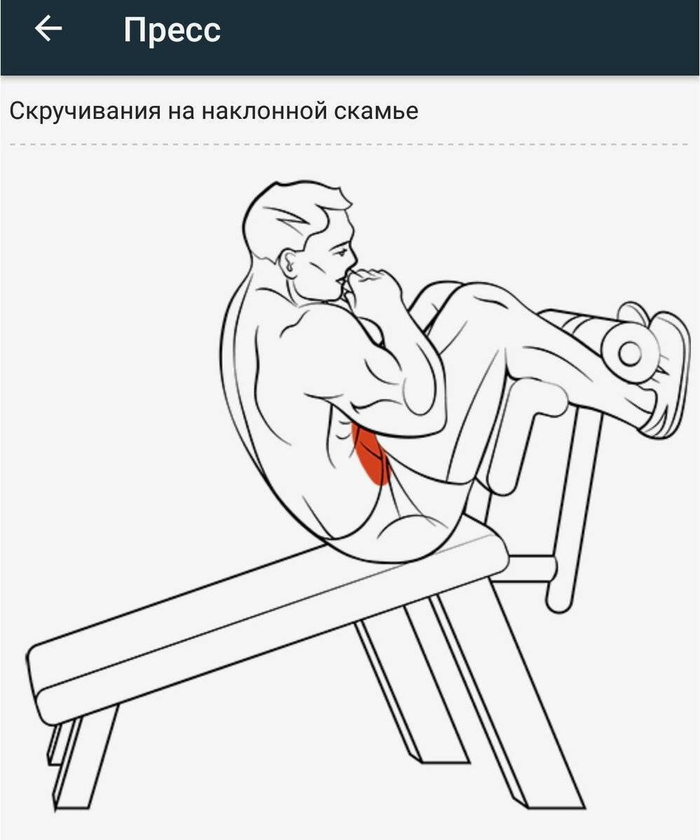 Скручивания на римском стуле: описание упражнения с фото, пошаговая инструкция выполнения и проработка мышц тела - tony.ru