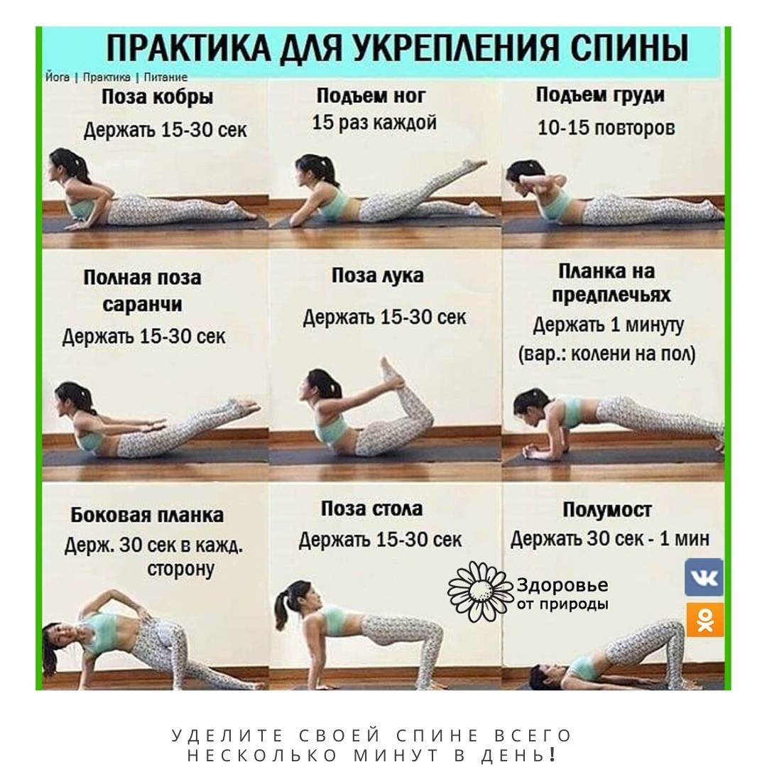 14 эффективных упражнений для спины дома, на улице и в зале