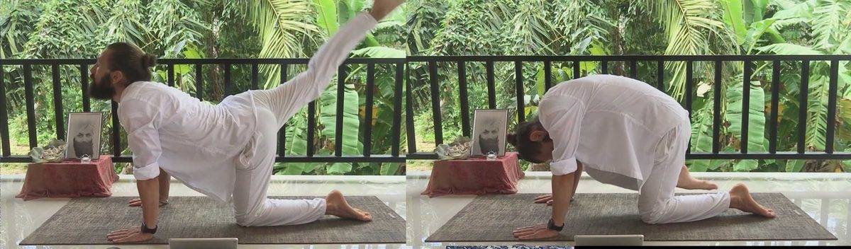 Крия йога видео занятия: для детей, взрослых, пенсионеров, мантры