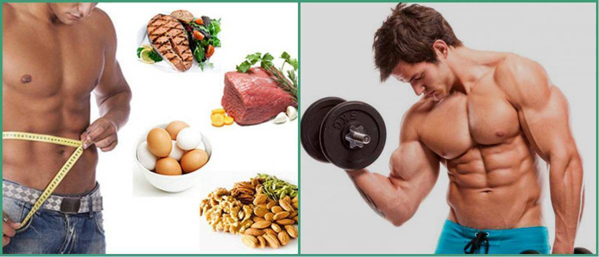 Питание для набора сухой мышечной массы | proka4aem.ru