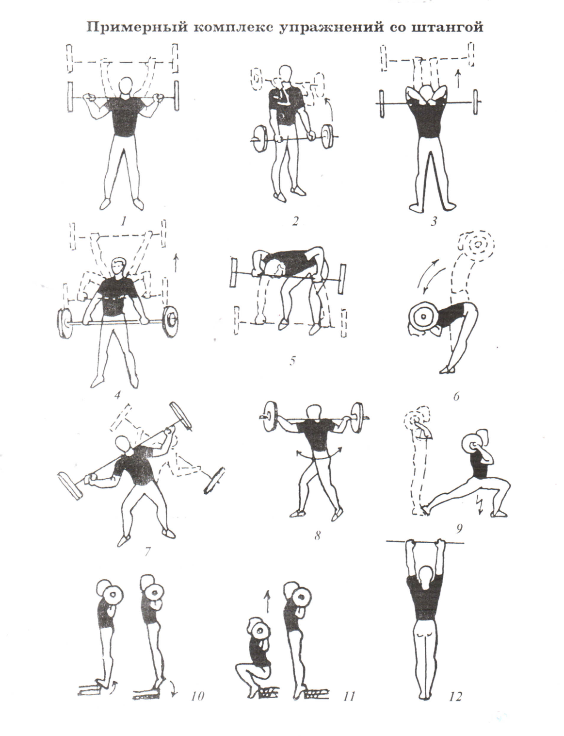 Упражнения с гантелями для женщин: подборка эффективных упражнений на каждую группу мышц с техникой выполнения