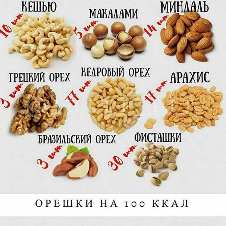 Сколько орехов можно съедать в день