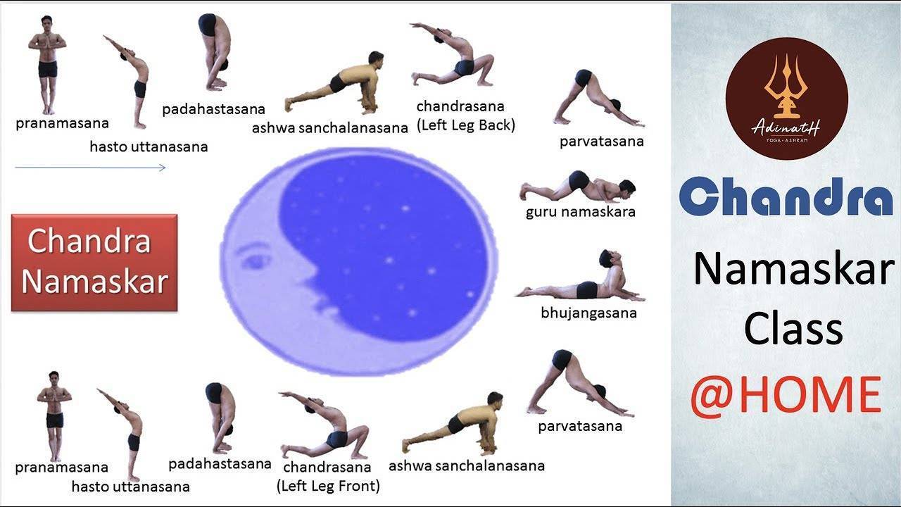 Йога днём и ночью: сурья намаскар (приветствие солнцу) и чандра намаскар (приветствие луне) - родовое йога-поселение - медиаплатформа миртесен
