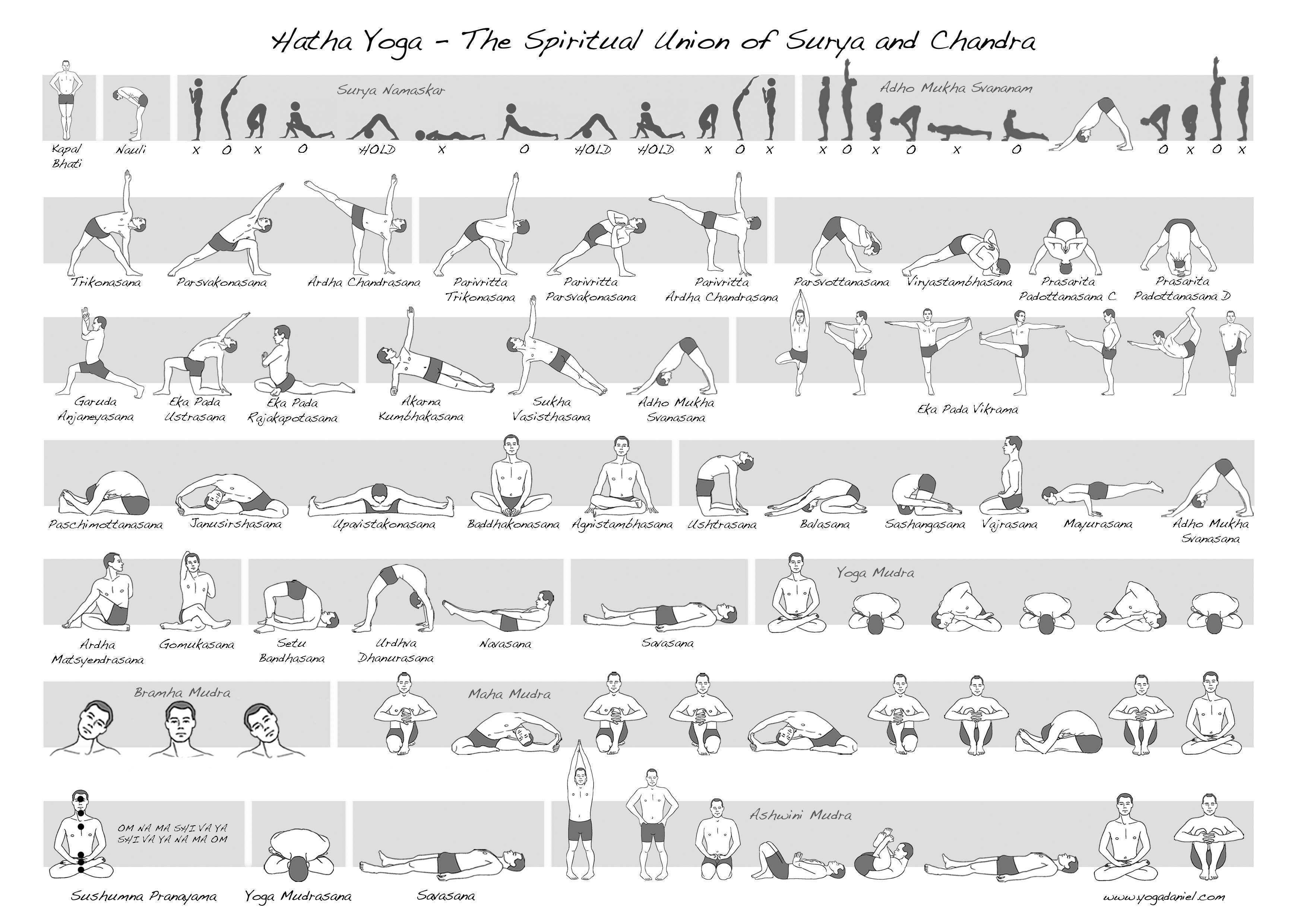 Хатха йога асаны в картинках с описанием