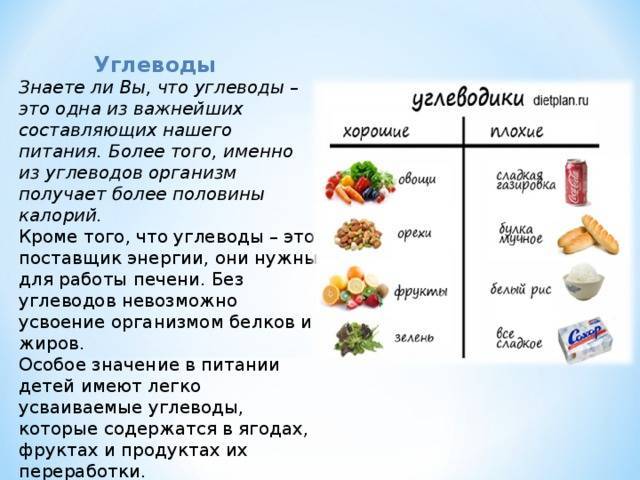 Углеводы в организме: в каких продуктах содержатся (таблица) – эл клиника