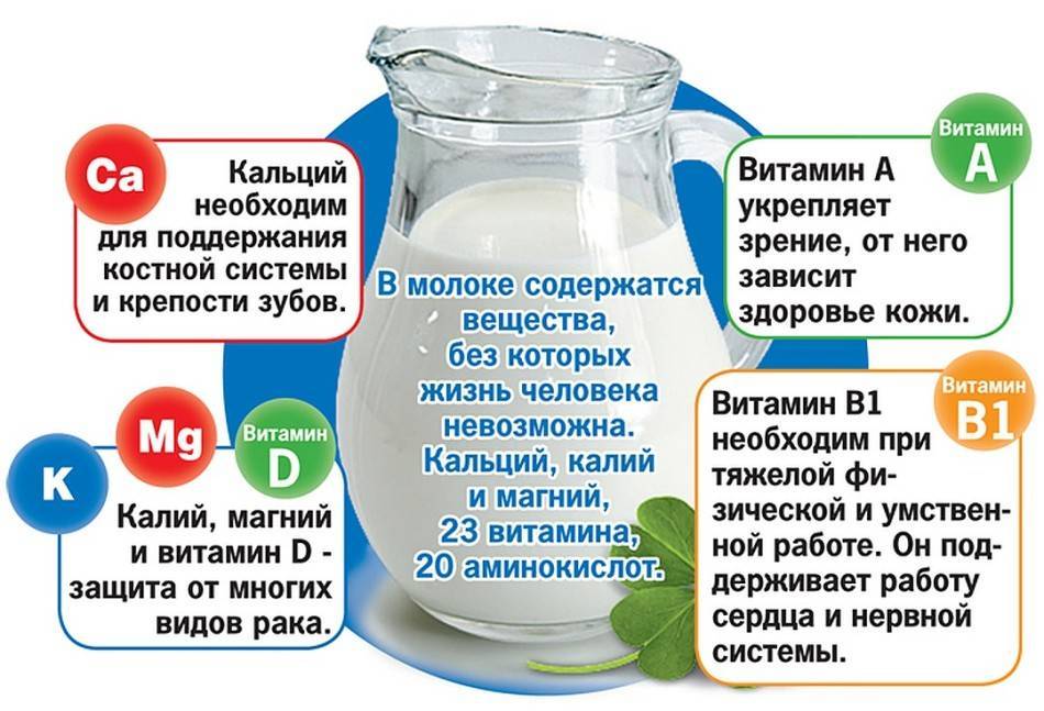 Питание при взк: можно ли пить молоко, кофе и алкоголь? / блог / клиника эксперт