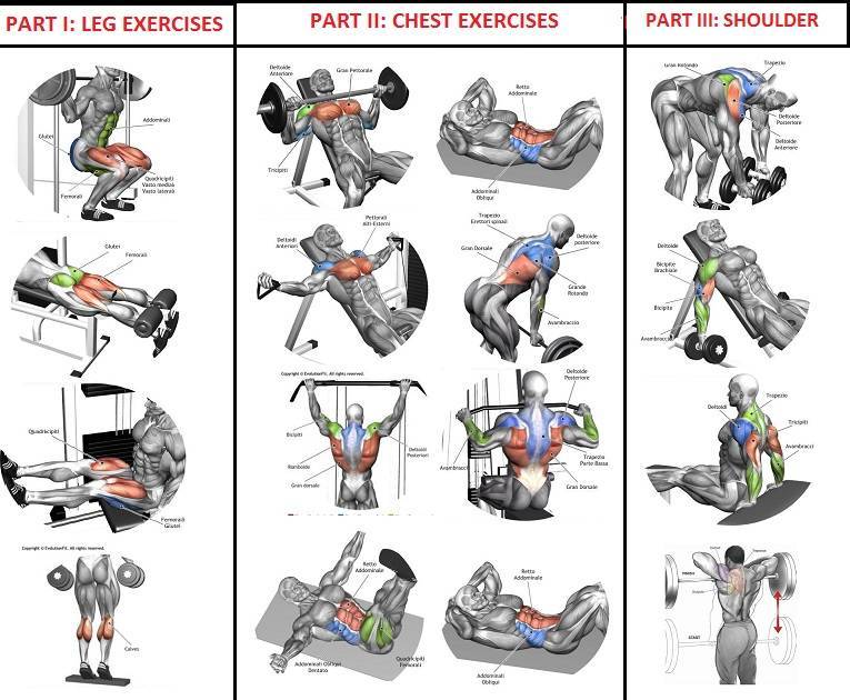 Тренировки для похудения для мужчин в тренажёрном зале: упражнения и программы