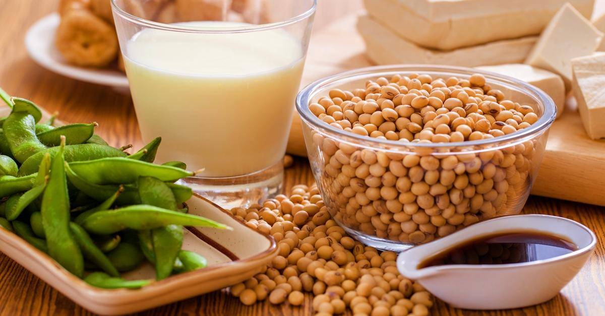 Белковая пища — какие это продукты (список)? какие продукты содержат наибольшее количество белка