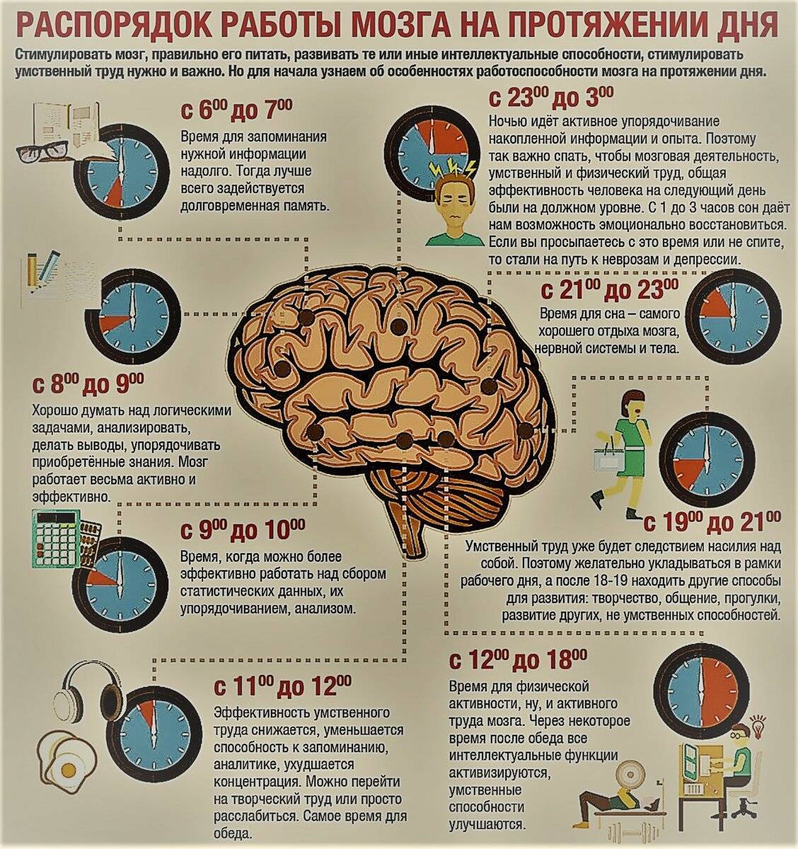 Тренировка памяти: советы и упражнения, которые помогут держать мозг в тонусе