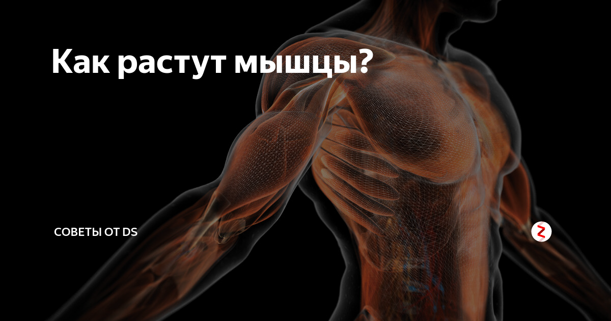 Зачем мышцы девушкам? красивые девушки с мышцами. нужно ли укрепление мышц для женщин?