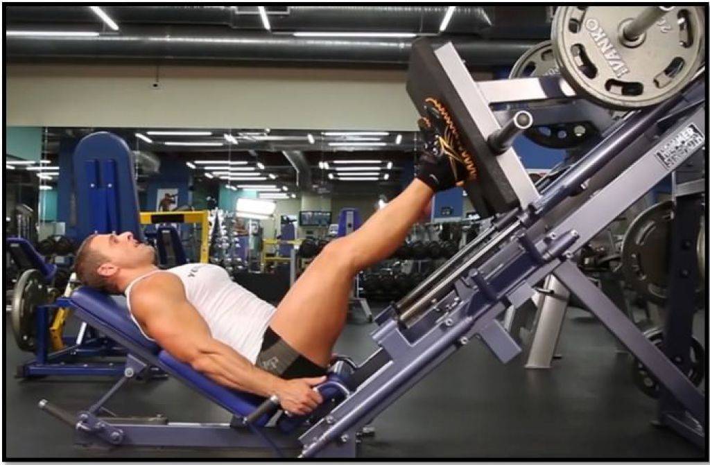 Жим ногами лежа в тренажере: какие мышцы работают, как правильно делать упражнение