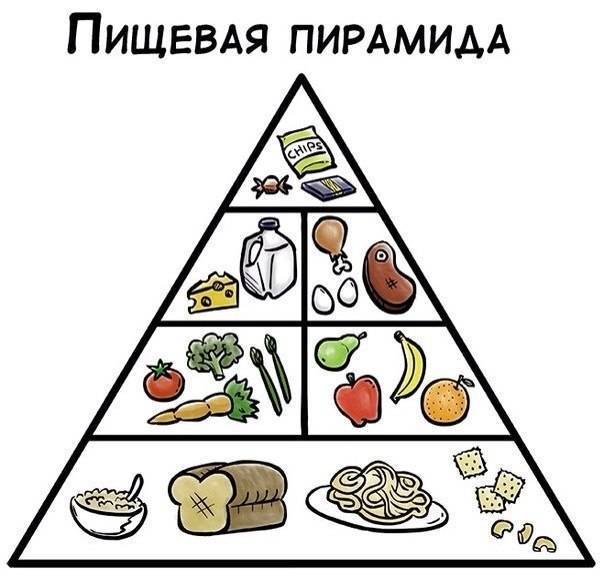 Пирамида рационального питания – московский областной центр общественного здоровья и медицинской профилактики (моцозимп)