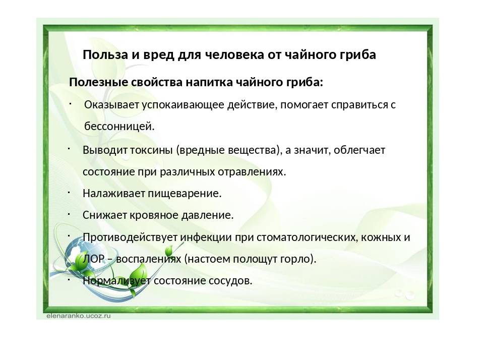 Чайный гриб: как ухаживать и употреблять, польза и вред :: syl.ru