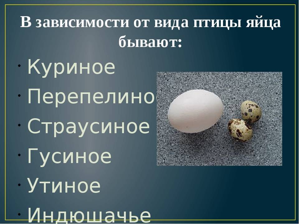 Белые или коричневые: 5 мифов о яйцах, за которые мы расплачиваемся рублем, а иногда и здоровьем – ура! повара