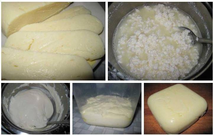 Как приготовить сыр из творога в домашних условиях по рецепту с фото