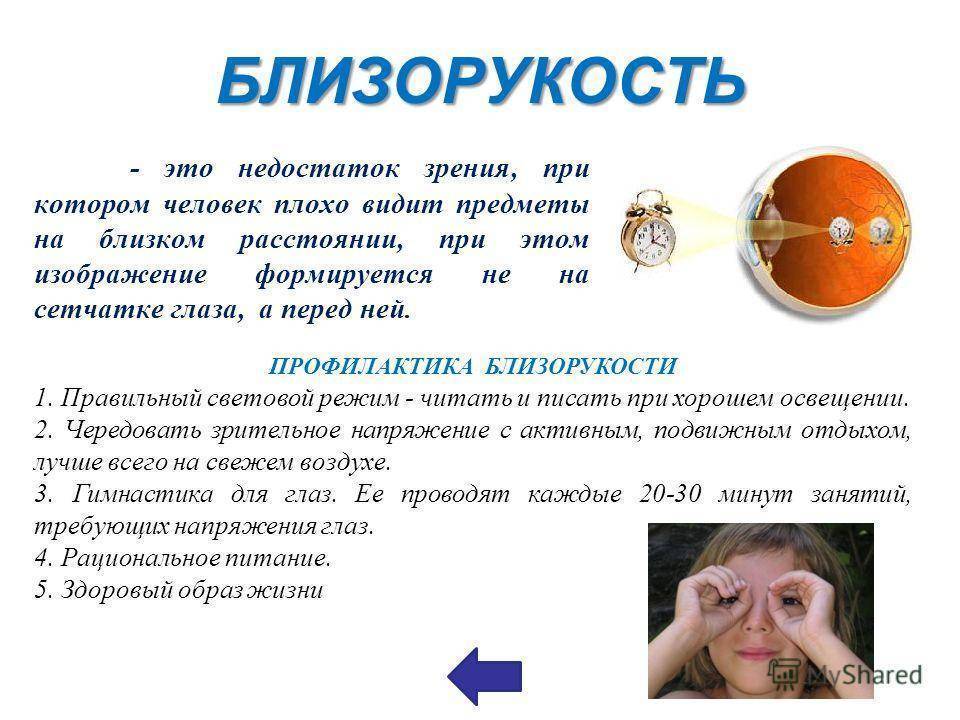 Почему возникает миопия и как выглядит глаз при близорукости? - энциклопедия ochkov.net
