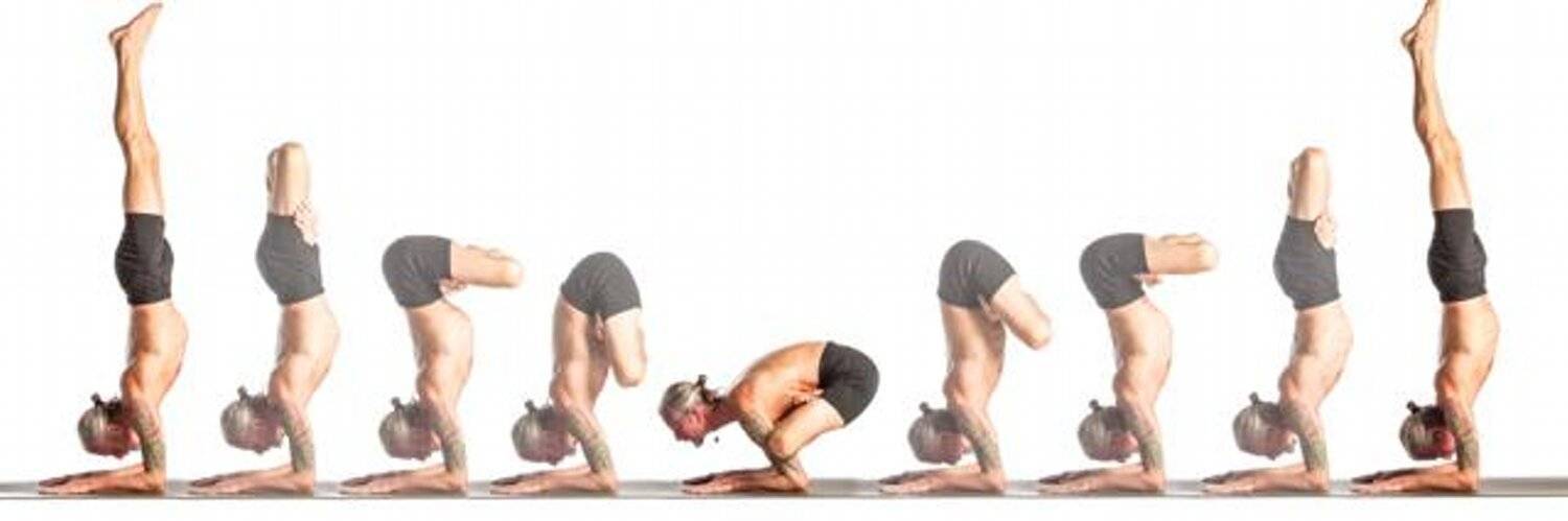 Аштанга йога: что это такое и упражнения для начинающих, последовательность асан