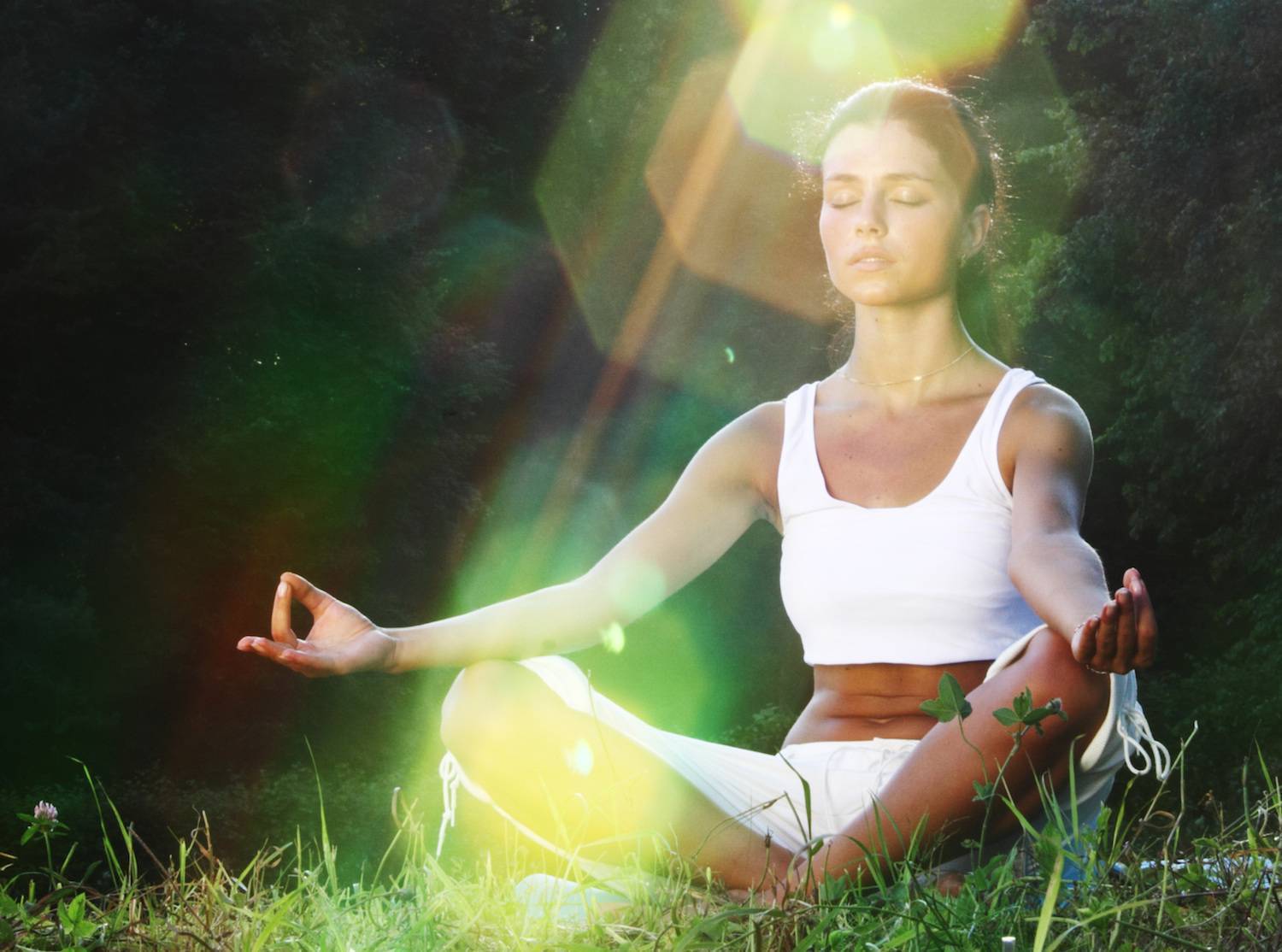 Медитация прощения и отпускания – проверенный метод - свами даши