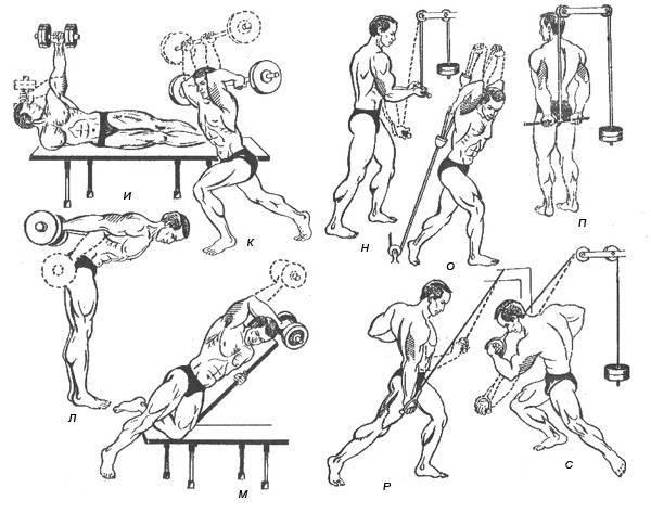 10 лучших упражнений на трицепс в тренажерном зале