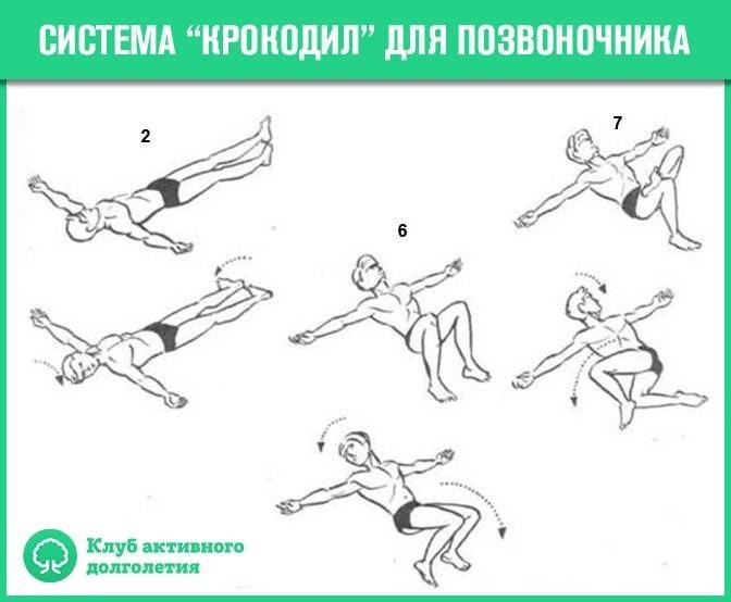 Лечебная гимнастика: упражнение «крокодил» для позвоночника