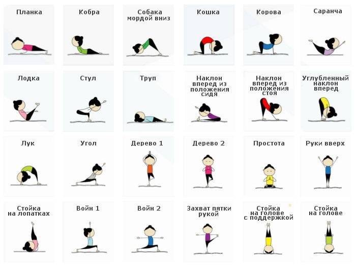 Виды йоги и их описание: какое направление выбрать в зависимости от цели?