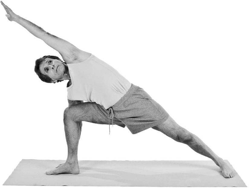 Базовая и обязательная для изучения поза всадника – ашва санчаласана в йоге