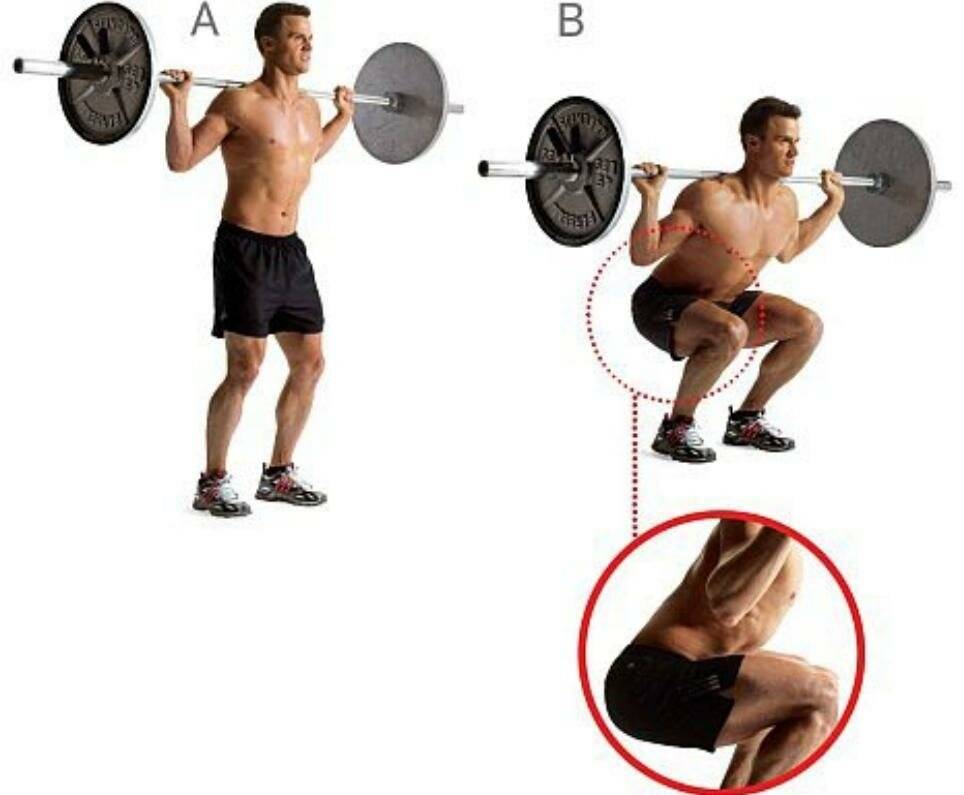 Приседания со штангой: какие мышцы работают, техника выполнения, как подобрать вес