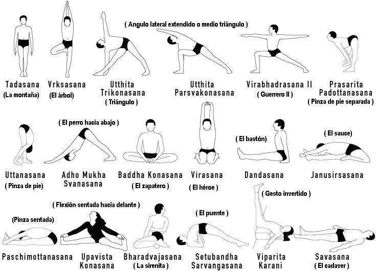 Знаки зодиака и рекомендуемые им стили и позы йоги