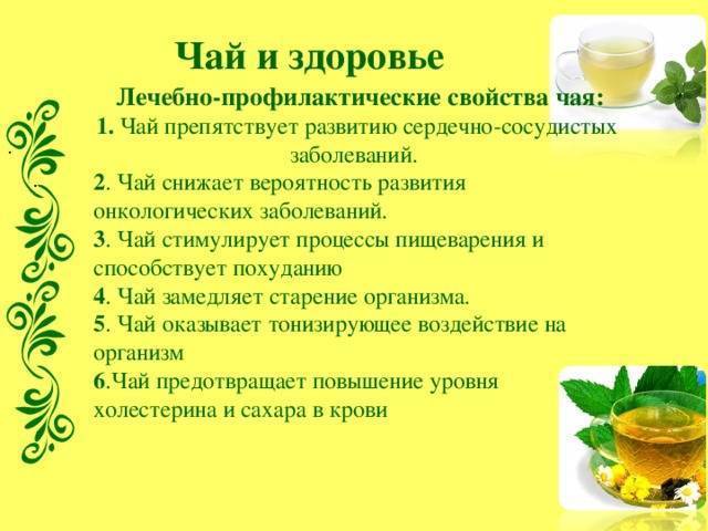 Зеленый чай: мифы о пользе употребления напитка для организма мужчин и женщин - есть ли смысл пить для здоровья?