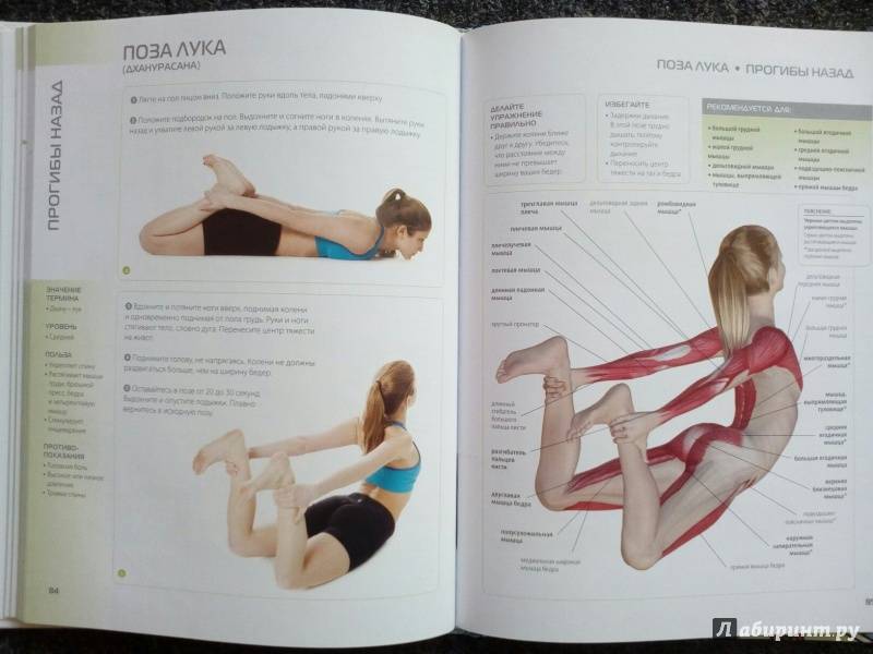 Читать книгу йога дипика: прояснение йоги б. к. айенгара : онлайн чтение - страница 8