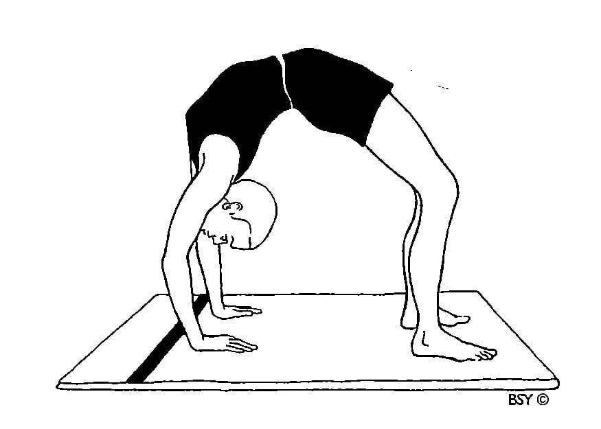 Гимнастический мостик: как встать на мост из положения стоя и лежа