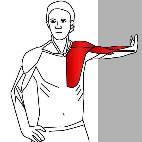 Растяжка плеч и плечевого пояса