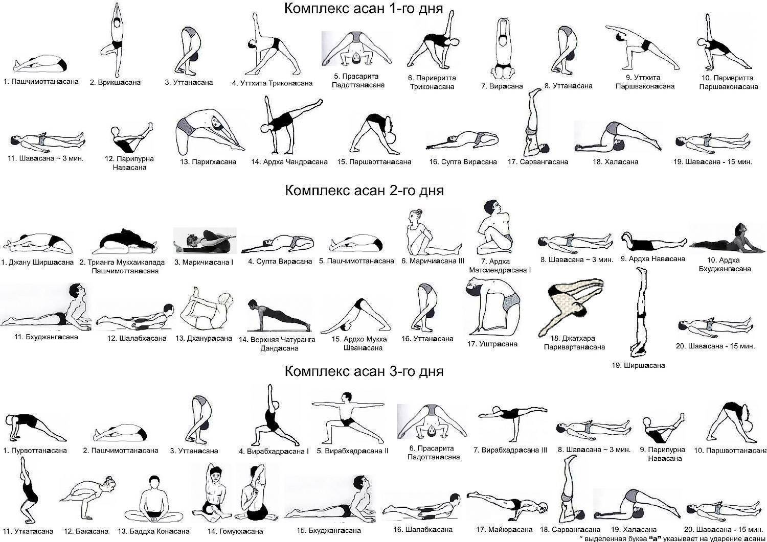 Что такое бикрам-йога: особенности, польза и преимущества, упражнения горячей йоги для начинающих