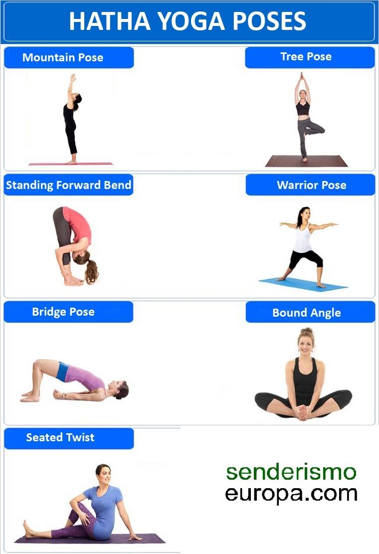 Виды йоги для начинающих
