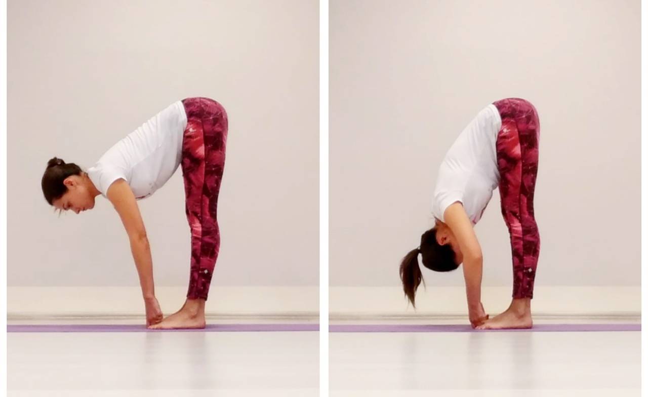 Титтибхасана: поза светлячка в йоге и ее правильная техника выполнения с фото