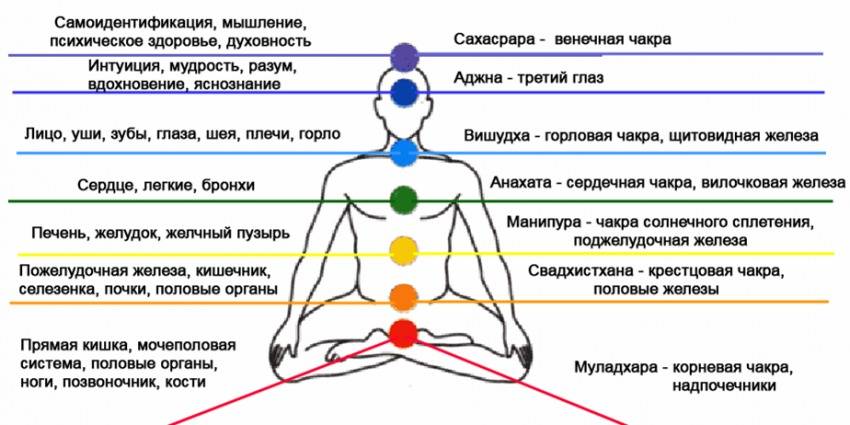 Расположение чакр на теле человека: ищем энергетические каналы в теле человека