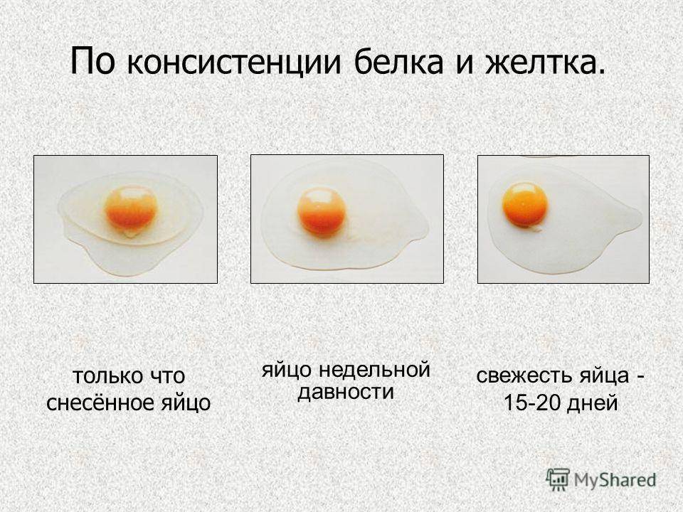 Цвет яичной скорлупы и желтка: влияющие факторы, причины