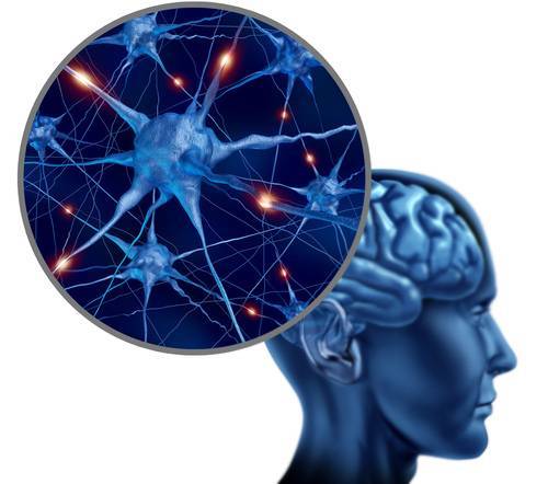 Исследование нервной системы с помощью функциональной диагностики. часть 2. электронейромиография и электромиография