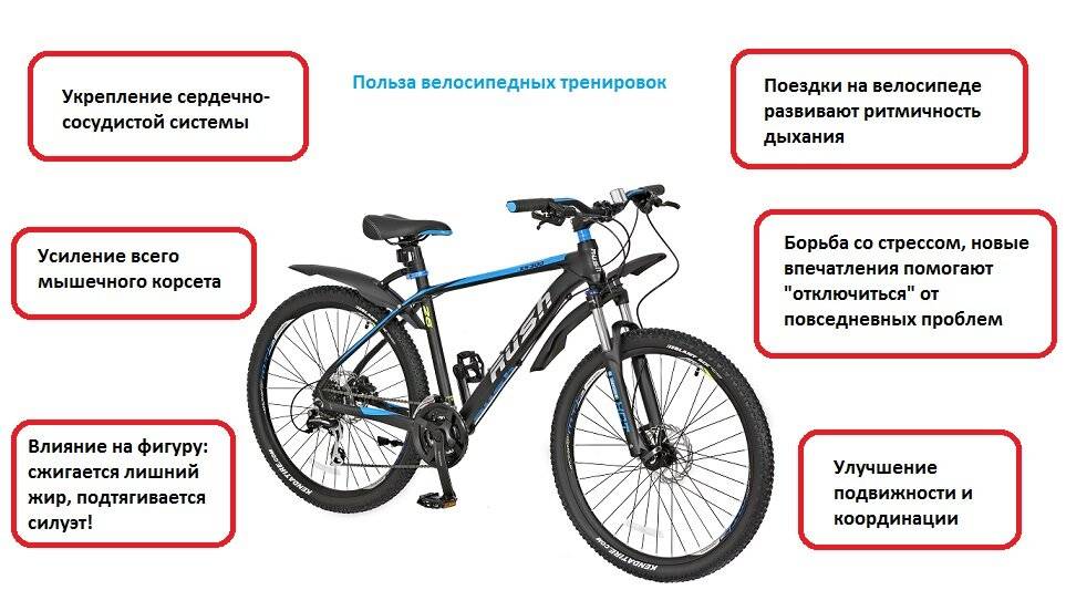 Как и какой выбрать велосипед советы от экспертов