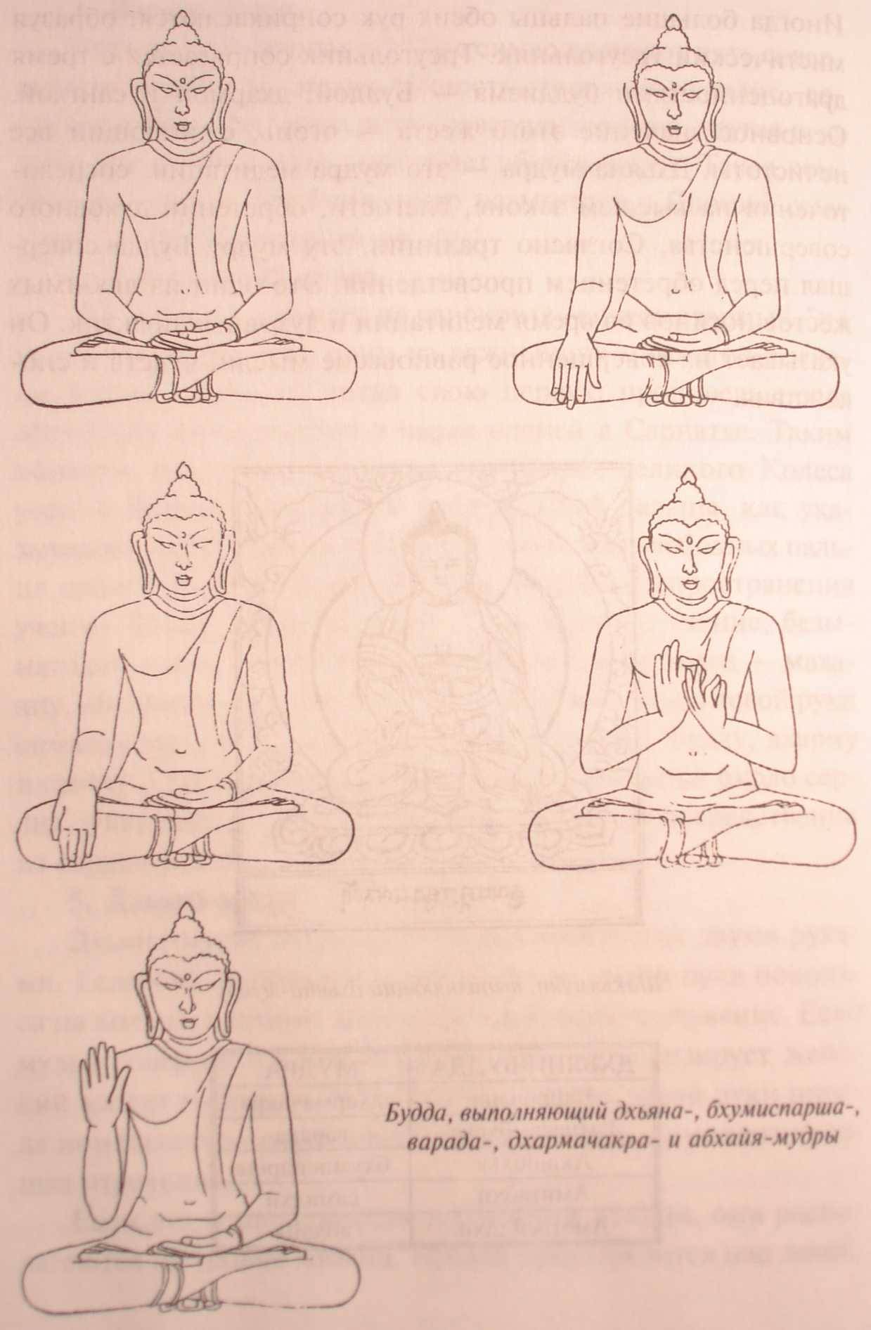 Мудра знания и другие 7 положений рук при медитации