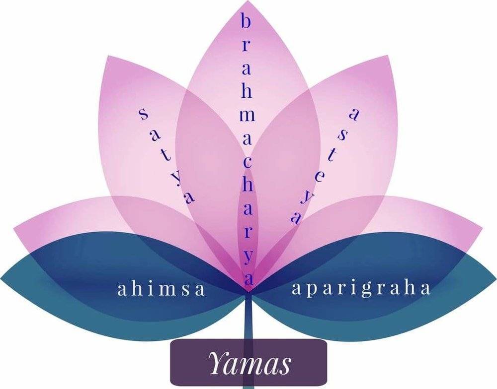 Ахимса - что это? принцип ахимсы. индийская философия кратко