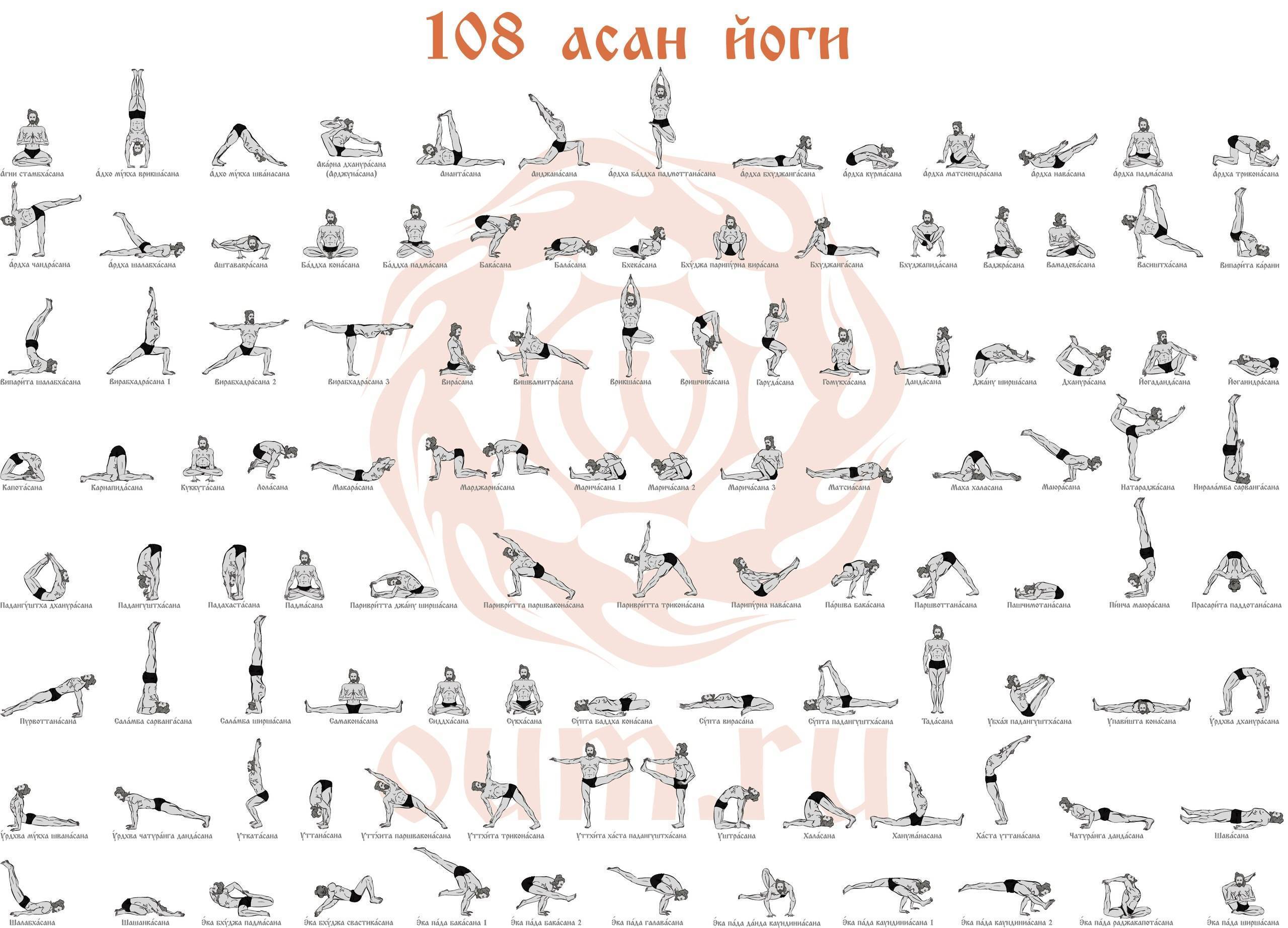Асаны хатха-йоги для начинающих: основные упражнения и комплексы