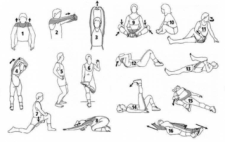 Упражнения для растяжки после тренировки – тянем мышцы правильно