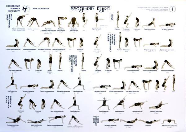 Топ основных поз йоги с подробной техникой выполнения асан, польза и противопоказания базовых упражнений