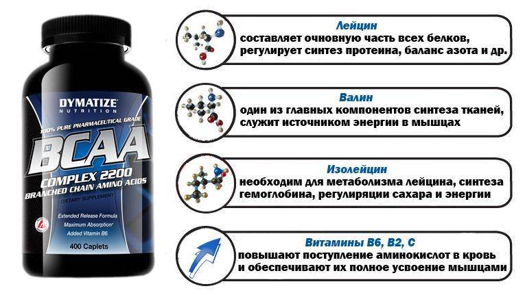 11 полезные свойства аминокислот для организма человека