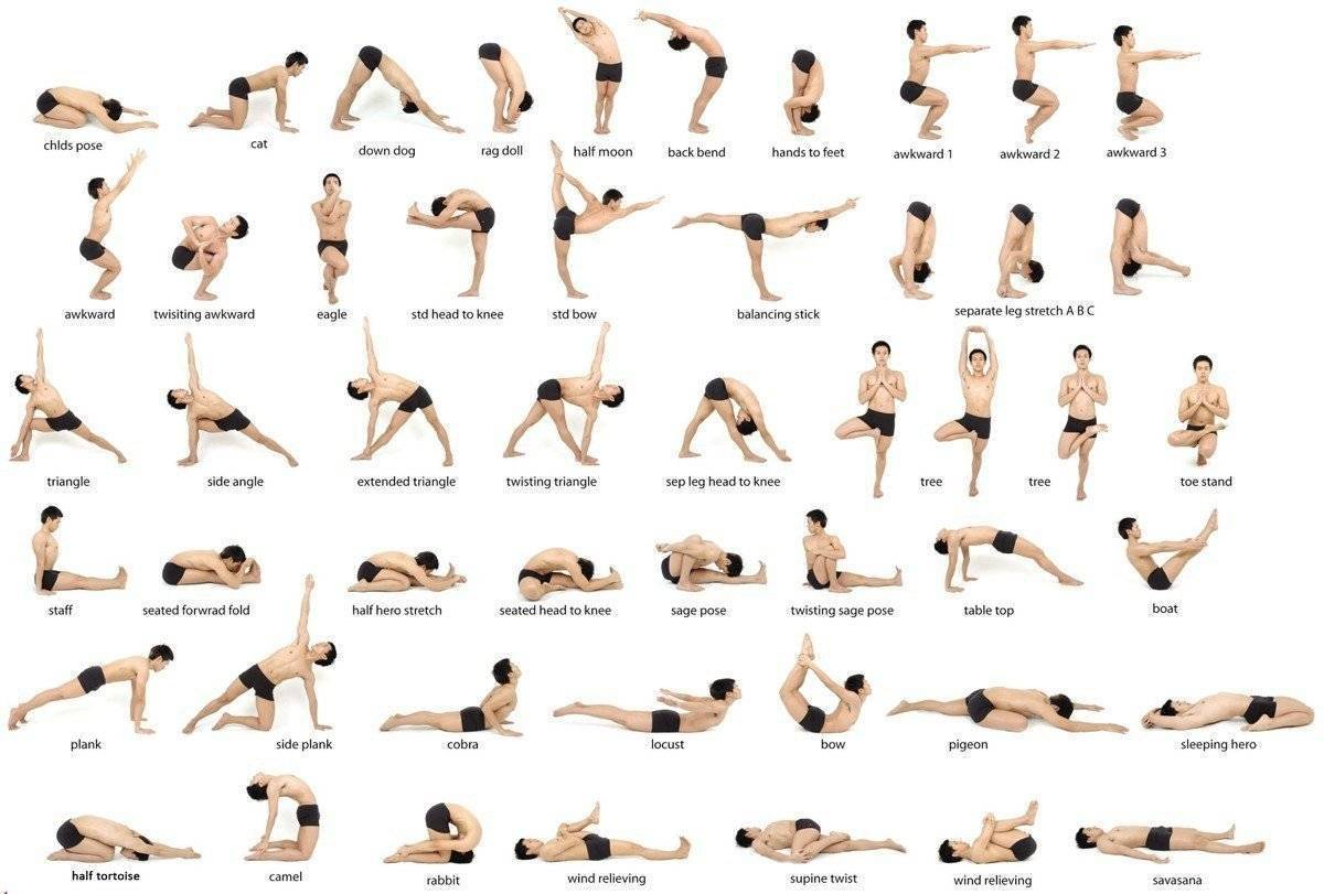 Последовательность и сочетание упражнений йоги