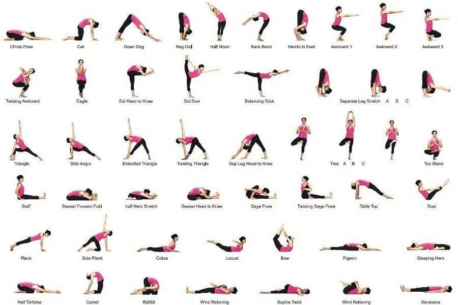 Йога для начинающих: какое направление выбрать? | yoga5stihiy.ru